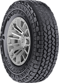BRIDGESTONE DUELER AT ASCENT | P265/65R18 | SL | All Season