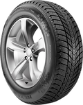 NEXEN WINGUARD ICE PLUS | P205/55R16 | Winter