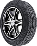 YOKOHAMA GEOLANDAR G96B | P245/60R20 | SL | All Season
